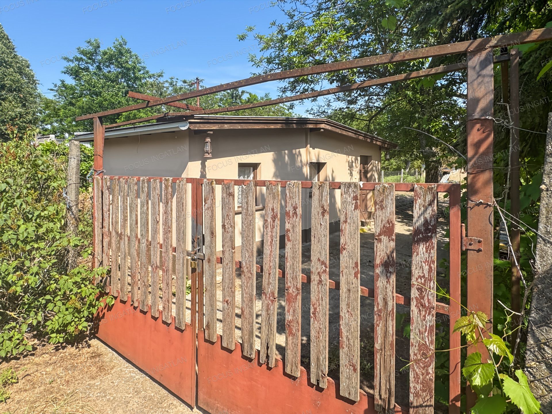 vizjeles_6231607