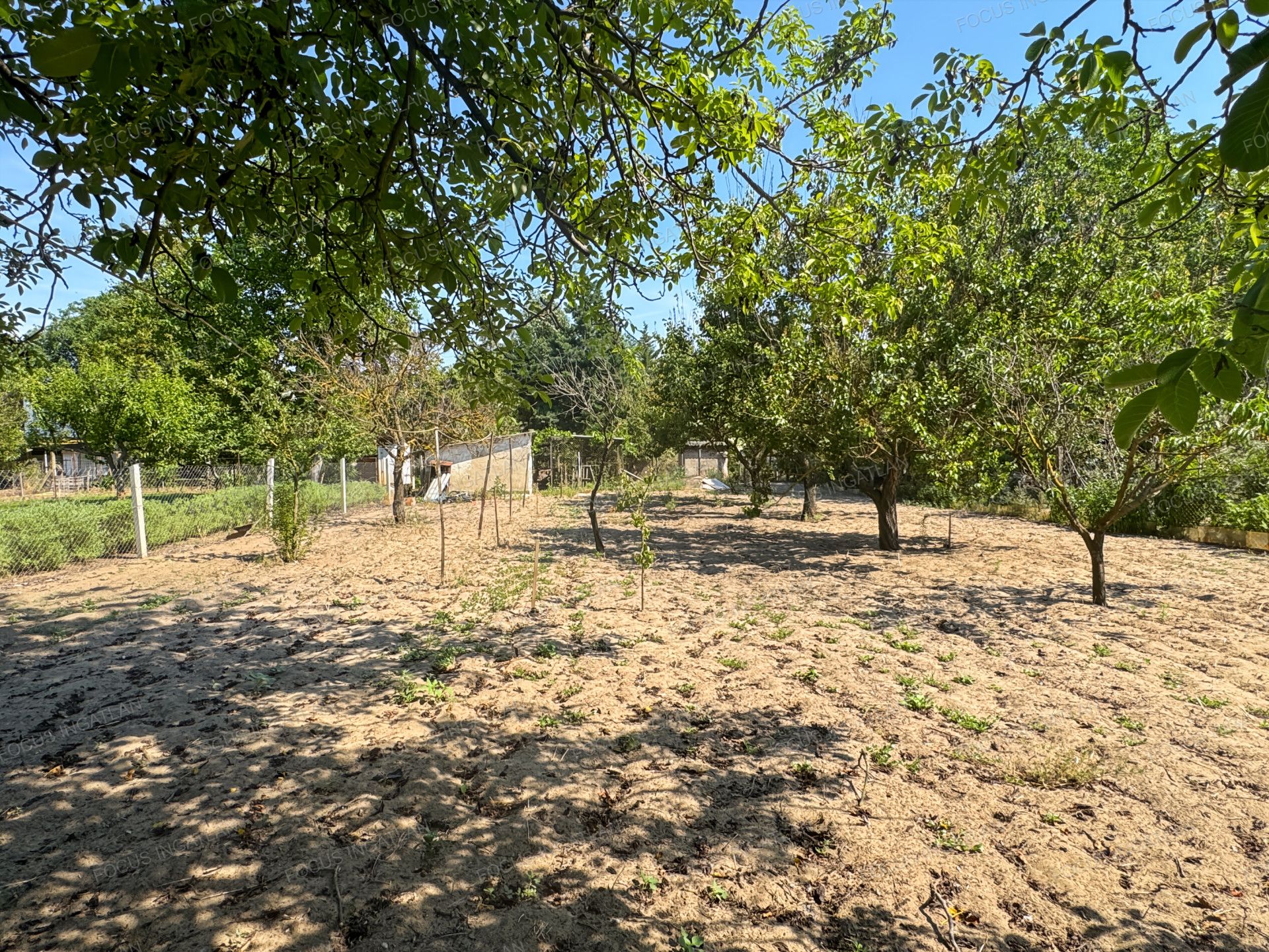 vizjeles_6231608
