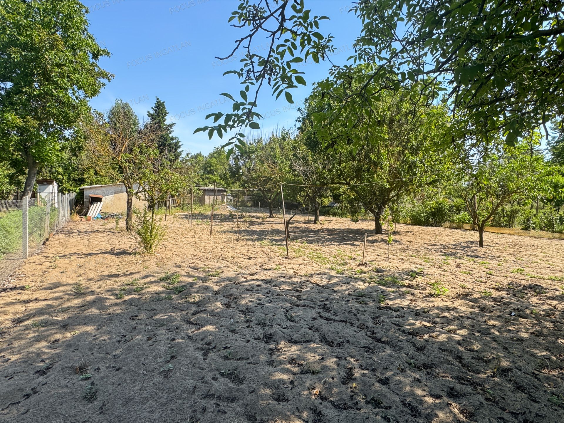 vizjeles_6231609