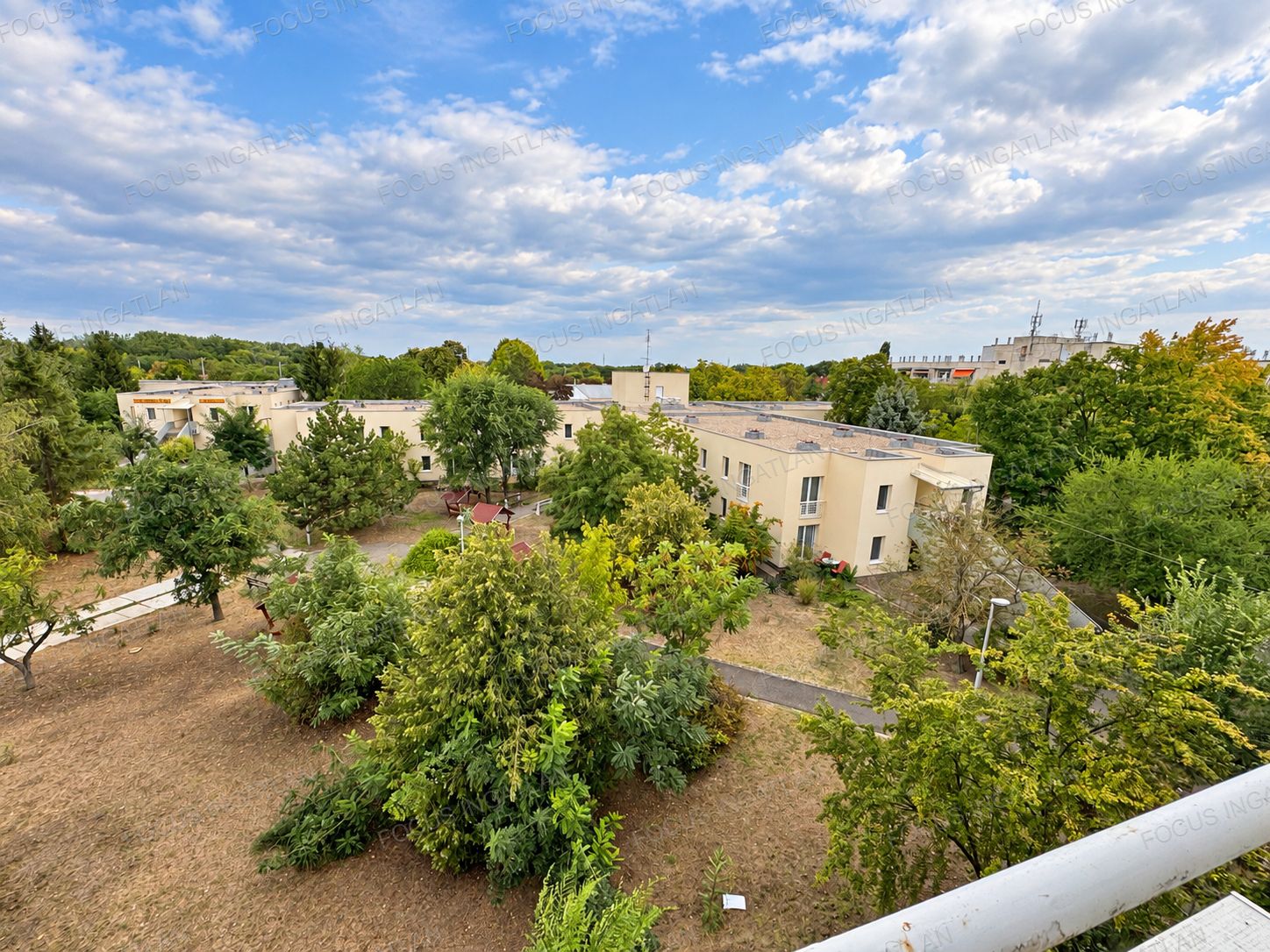 vizjeles_6337062